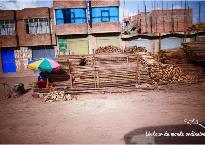 peru-rail-arrivee-dans-puno