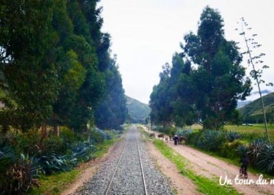 peru-rail-paysage-rural