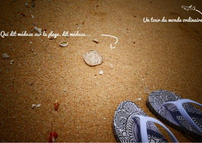 kohngai-balade-plage-paradise-meduse