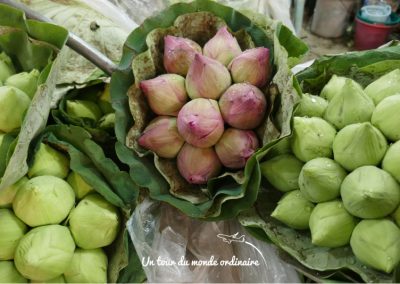bangkok-marche-aux-fleurs-lotus