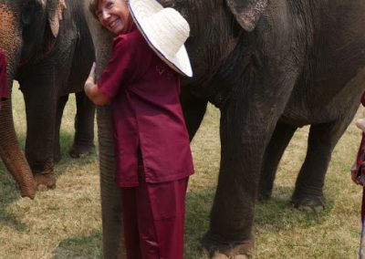 chiangmai-elephant-rescue-agnes
