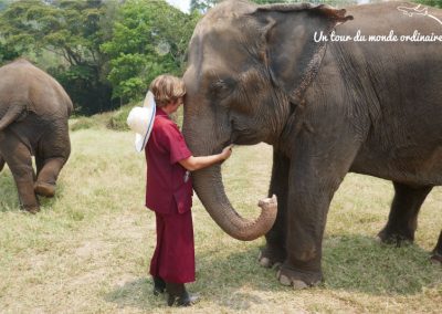 chiangmai-elephant-rescue-agnes-hug