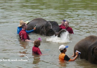 chiangmai-elephant-rescue-ca-trompe
