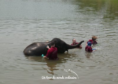chiangmai-elephant-rescue-douche