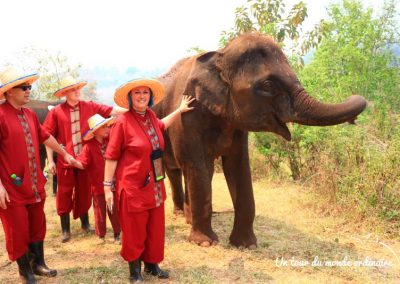 chiangmai-elephant-rescue-joanne-balade