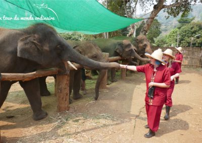 chiangmai-elephant-rescue-joanne-margaux