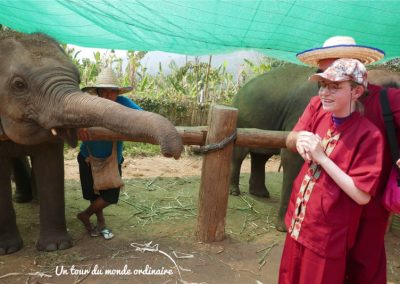 chiangmai-elephant-rescue-juju-chri