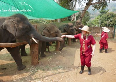 chiangmai-elephant-rescue-margaux