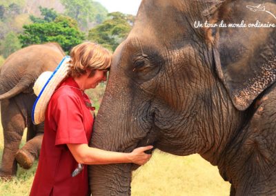 chiangmai-elephant-rescue-park