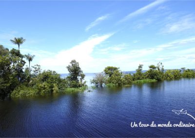 Amazonie-Manati-lodge-archipel-fluvial