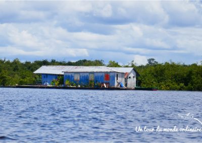 Amazonie-Manati-lodge-station-essence-flottante