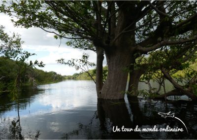 Amazonie-peche-aux-piranhas-coin
