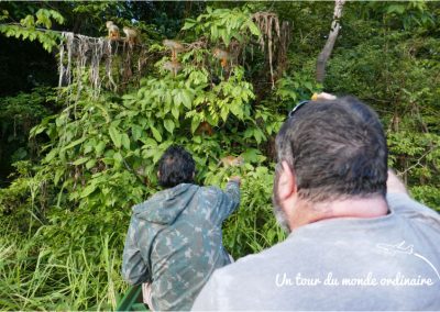 Amazonie-singes-Chri-et-Deu