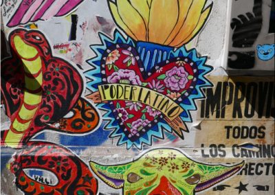 BuenosAires-street-art-lama