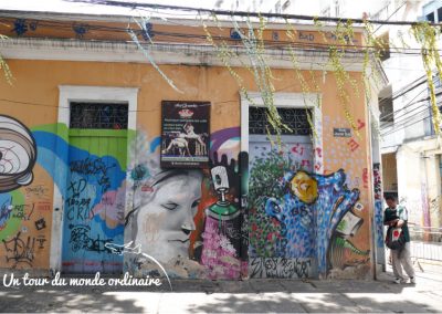 Rio-Sta-Teresa-mur-de-tags