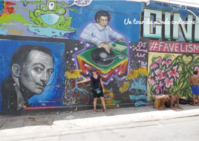 Rio-Sta-Teresa-mur-de-tags-Dali