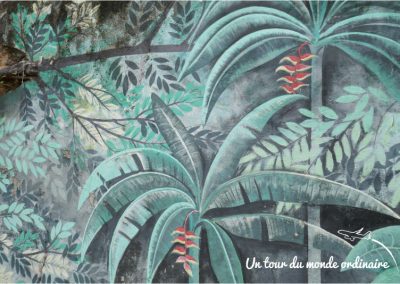 Rio-Sta-Teresa-mur-de-tags-jungle