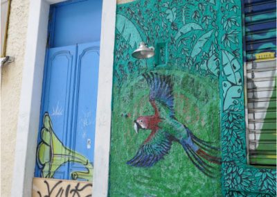 Rio-Sta-Teresa-mur-de-tags-perroquet