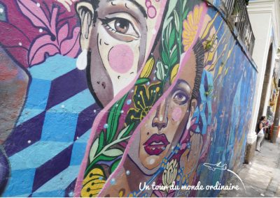 Rio-Sta-Teresa-mur-de-tags-visages